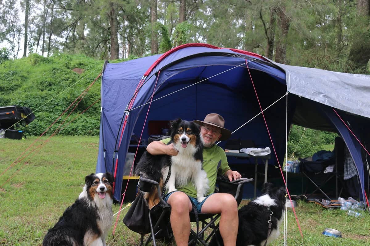 Professional Dog Training