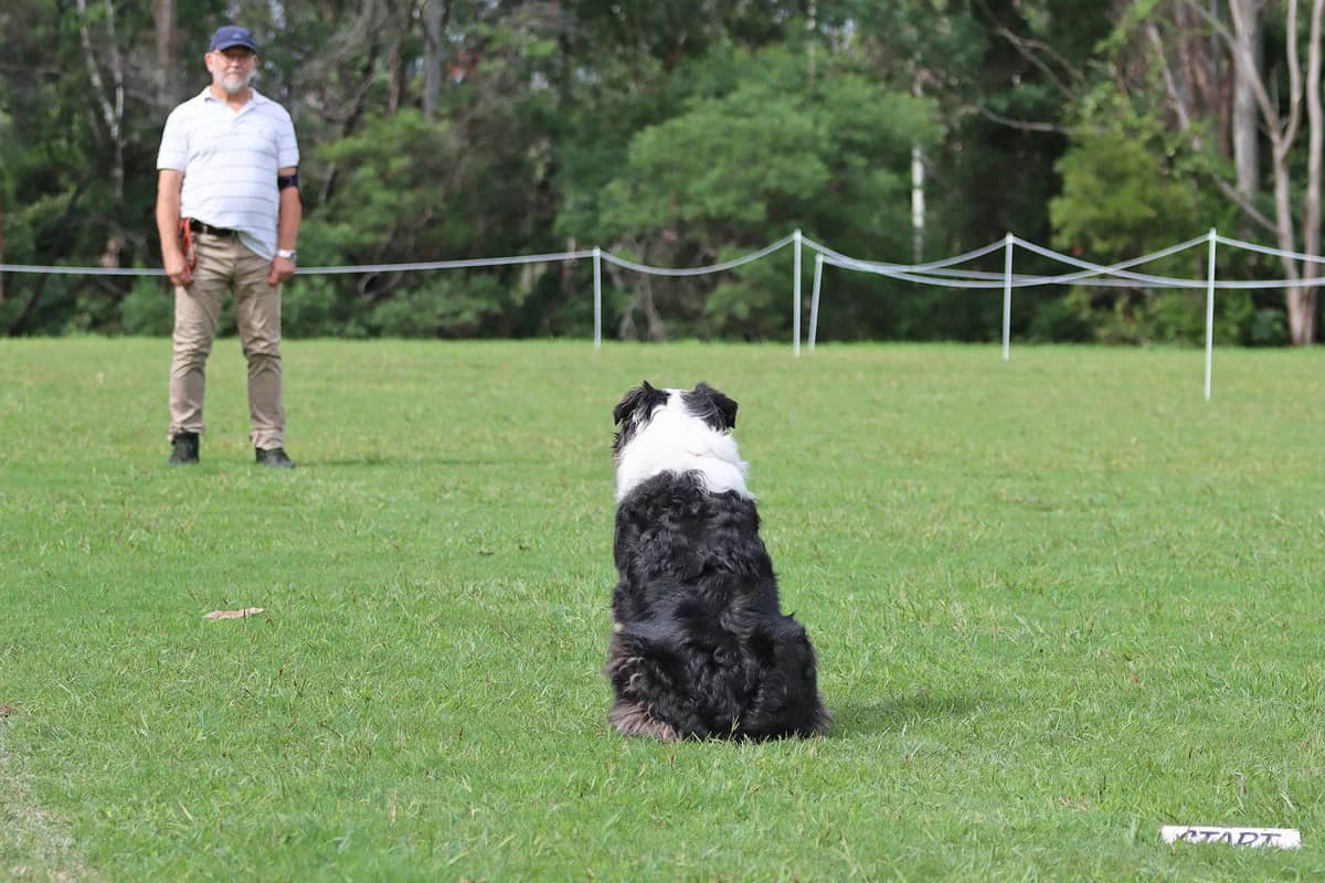 Group socialisation session
